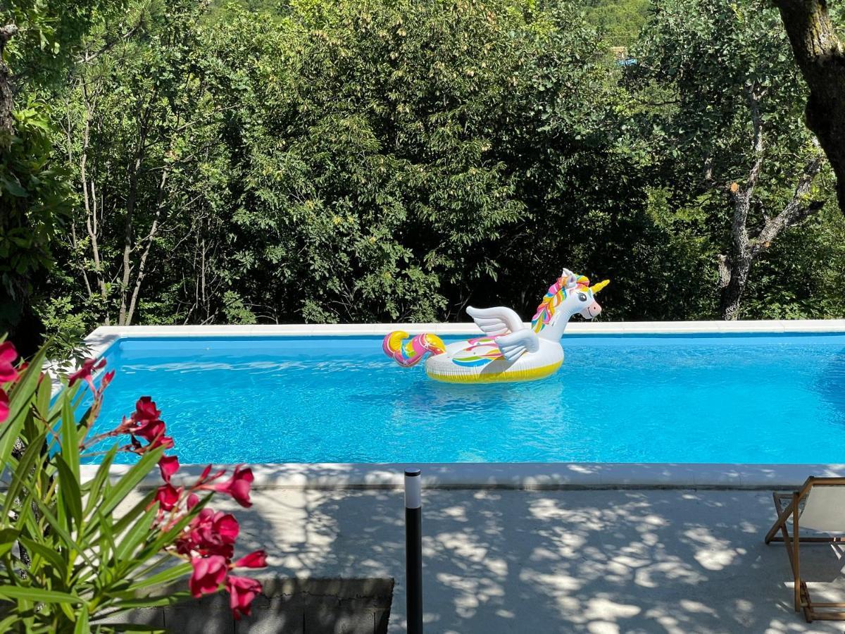 Holiday House Dunamis Krivodol Zewnętrze zdjęcie