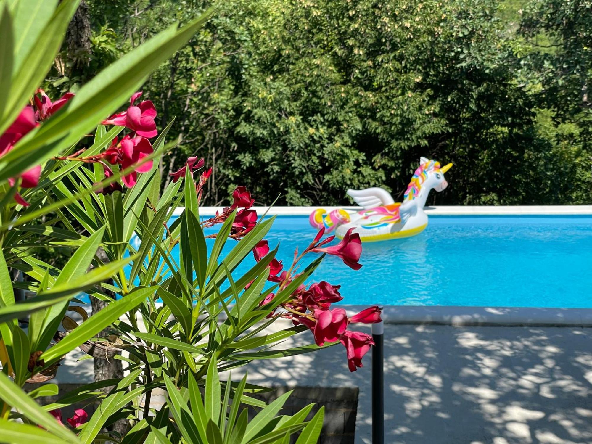 Holiday House Dunamis Krivodol Zewnętrze zdjęcie